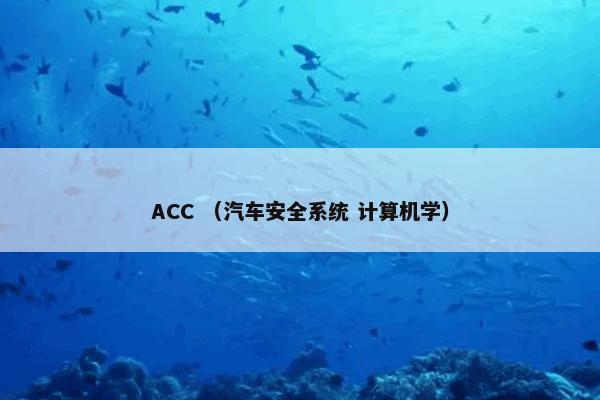 ACC （汽车安全系统 计算机学）