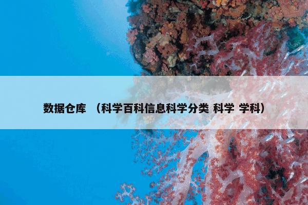 数据仓库 （科学百科信息科学分类 科学 学科）