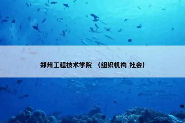 郑州工程技术学院 （组织机构 社会）