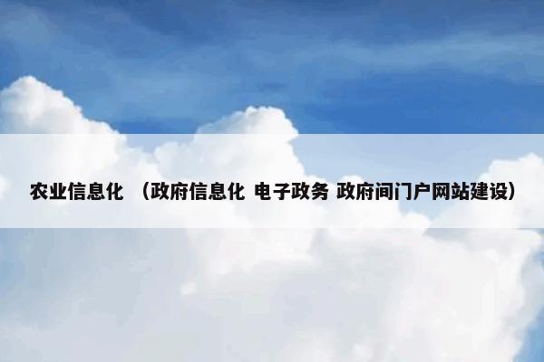 农业信息化 （政府信息化 电子政务 政府间门户网站建设）