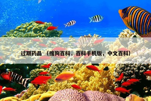 过期药品 （搜狗百科，百科手机版，中文百科）