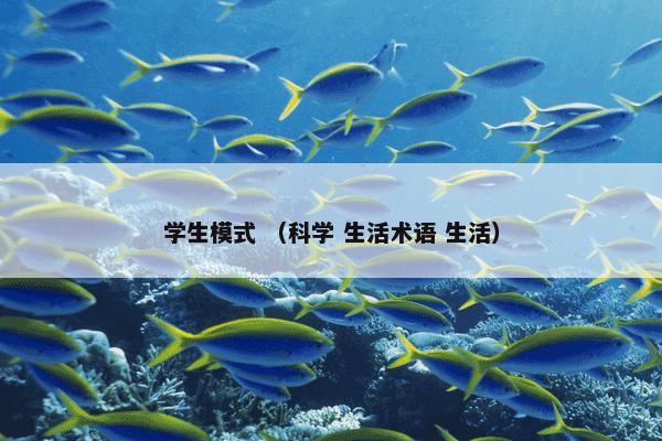 学生模式 （科学 生活术语 生活）