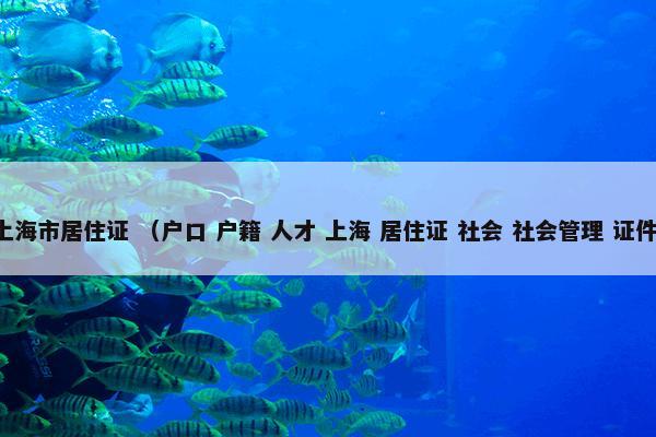 上海市居住证 （户口 户籍 人才 上海 居住证 社会 社会管理 证件）