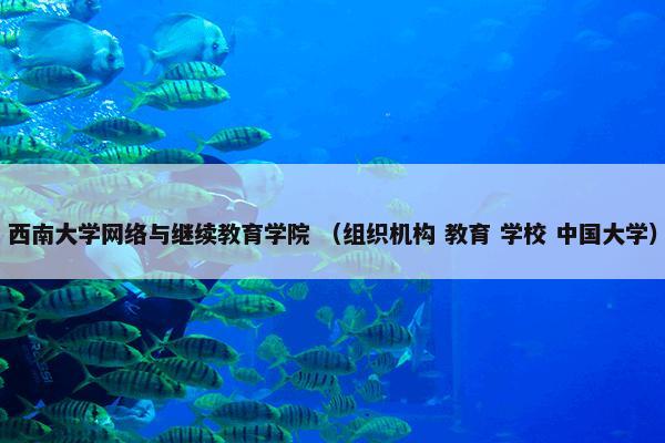 西南大学网络与继续教育学院 （组织机构 教育 学校 中国大学）