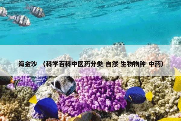 海金沙 （科学百科中医药分类 自然 生物物种 中药）