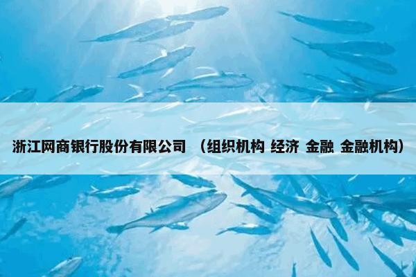 浙江网商银行股份有限公司 （组织机构 经济 金融 金融机构）