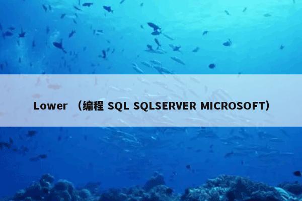 Lower （编程 SQL SQLSERVER MICROSOFT）