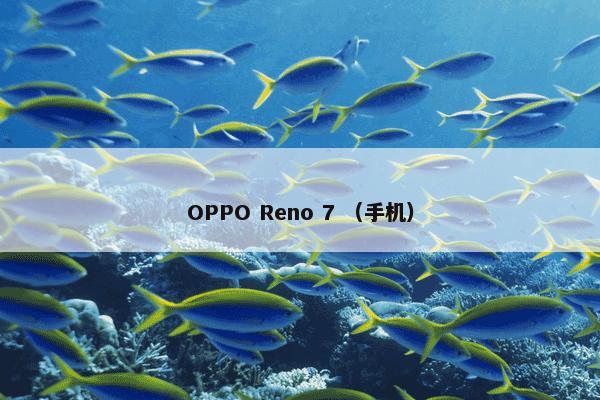 OPPO Reno 7 （手机）