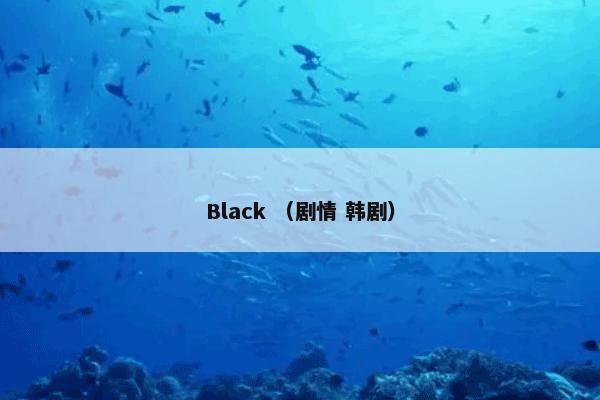 Black （剧情 韩剧）