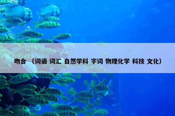 吻合 （词语 词汇 自然学科 字词 物理化学 科技 文化）