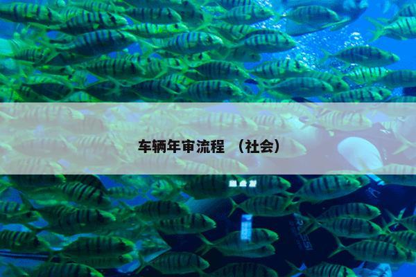 车辆年审流程 （社会）