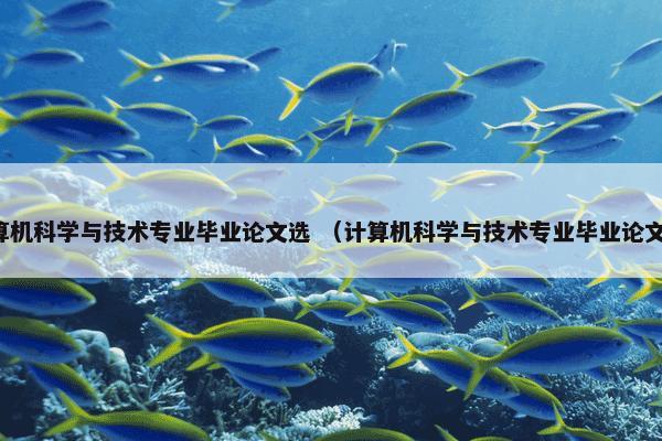 计算机科学与技术专业毕业论文选 （计算机科学与技术专业毕业论文选）