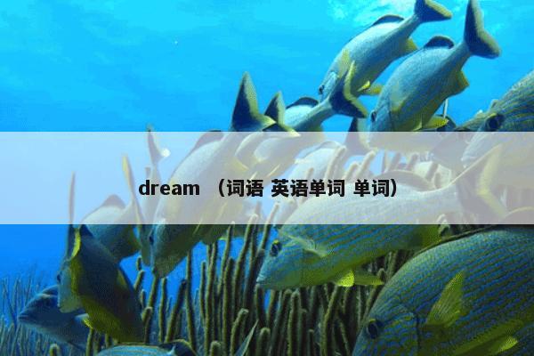 dream （词语 英语单词 单词）