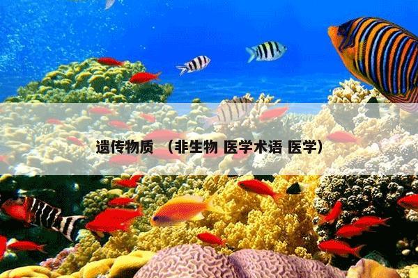 遗传物质 （非生物 医学术语 医学）