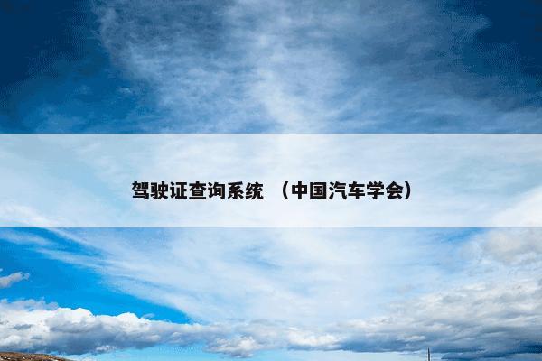 驾驶证查询系统 （中国汽车学会）