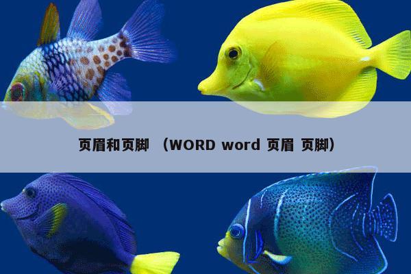 页眉和页脚 （WORD word 页眉 页脚）