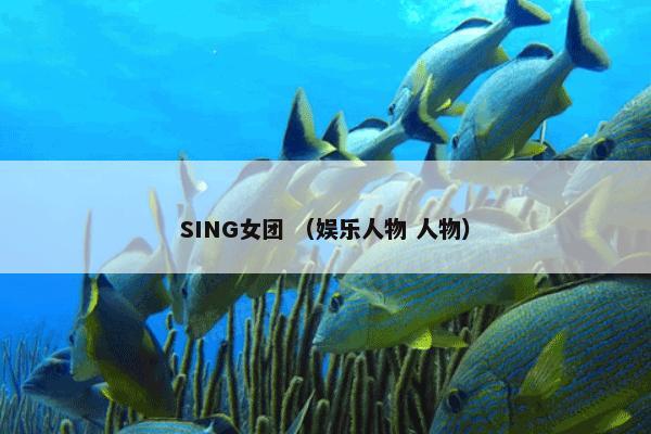 SING女团 （娱乐人物 人物）