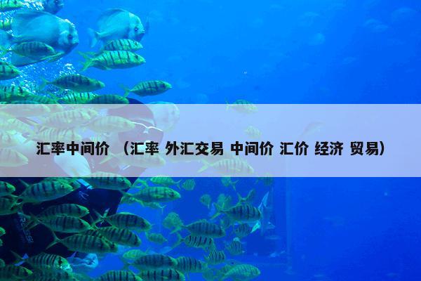 汇率中间价 （汇率 外汇交易 中间价 汇价 经济 贸易）