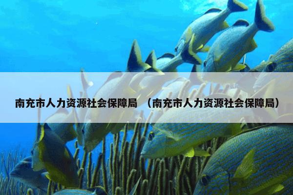 南充市人力资源社会保障局 （南充市人力资源社会保障局）