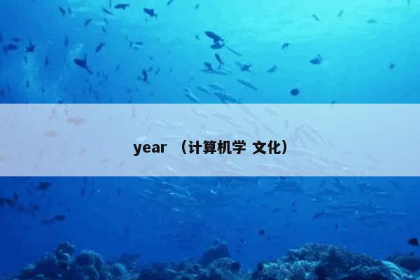 year （计算机学 文化）