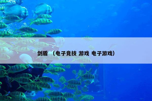 剑盾 （电子竞技 游戏 电子游戏）