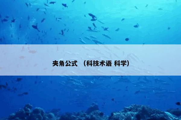 夹角公式 （科技术语 科学）