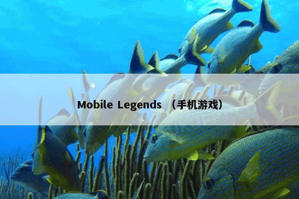 Mobile Legends （手机游戏）