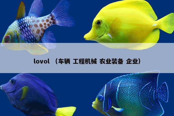 lovol （车辆 工程机械 农业装备 企业）