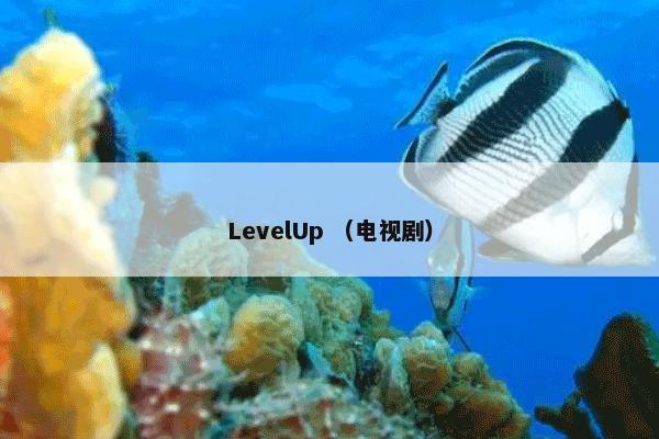 LevelUp （电视剧）