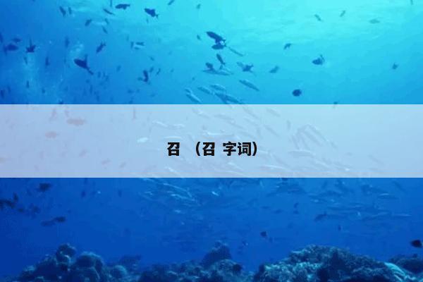 召 （召 字词）