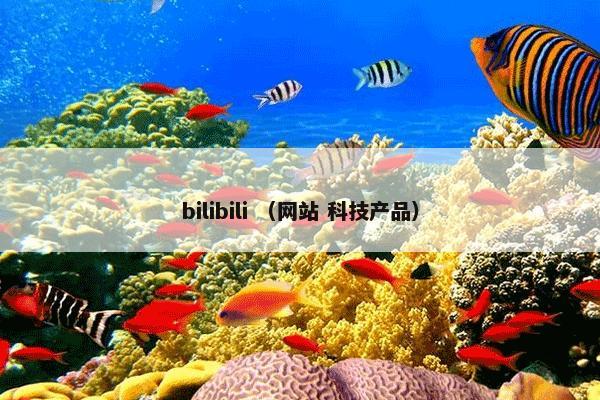 bilibili （网站 科技产品）