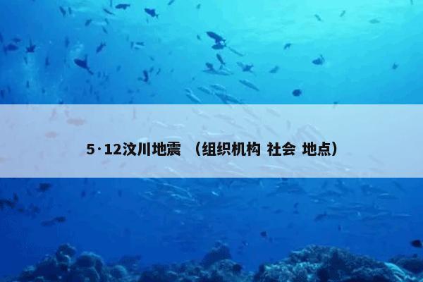 5·12汶川地震 （组织机构 社会 地点）