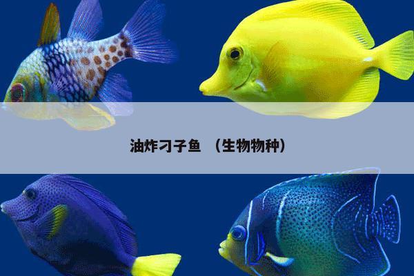 油炸刁子鱼 （生物物种）