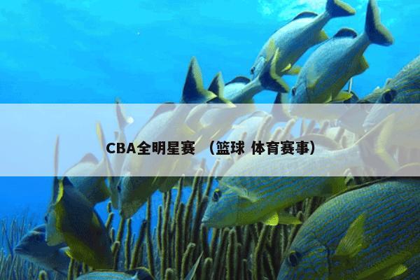 CBA全明星赛 （篮球 体育赛事）