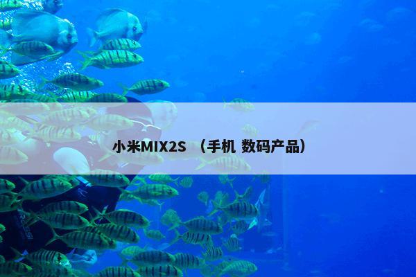 小米MIX2S （手机 数码产品）