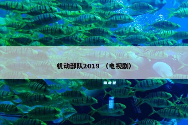 机动部队2019 （电视剧）