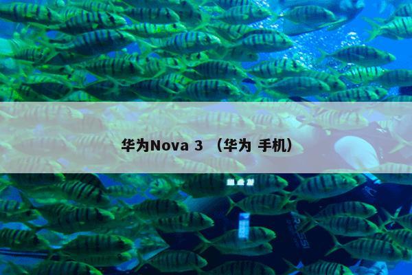 华为Nova 3 （华为 手机）