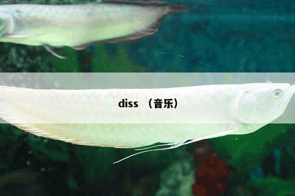 diss （音乐）