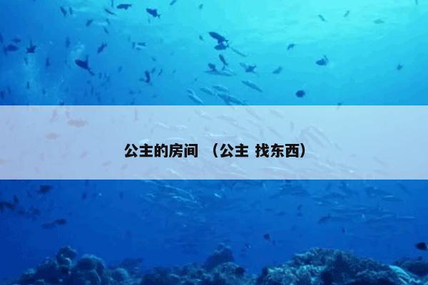 公主的房间 （公主 找东西）