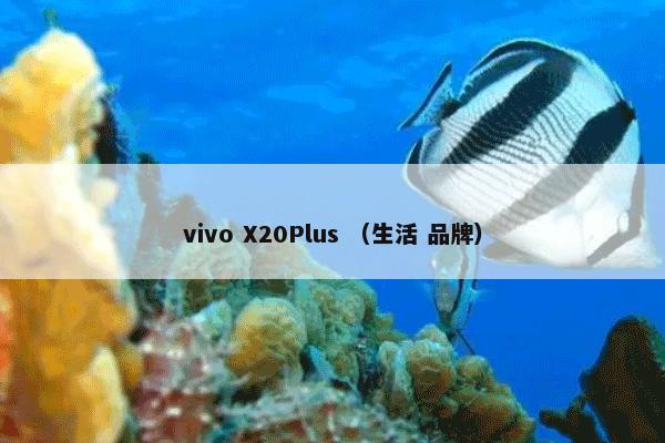 vivo X20Plus （生活 品牌）