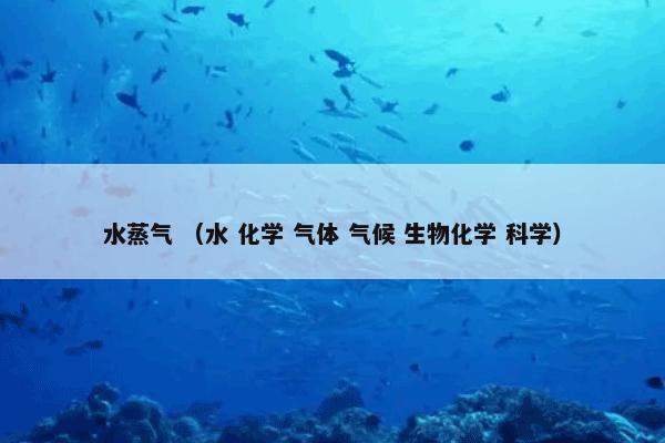 水蒸气 （水 化学 气体 气候 生物化学 科学）