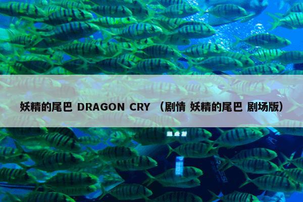 妖精的尾巴 DRAGON CRY （剧情 妖精的尾巴 剧场版）