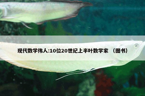 现代数学伟人:10位20世纪上半叶数学家 （图书）