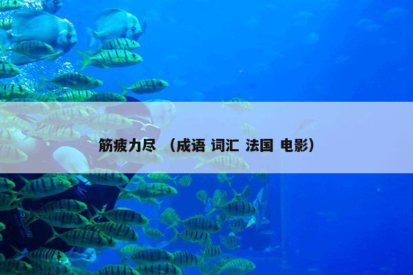 筋疲力尽 （成语 词汇 法国 电影）