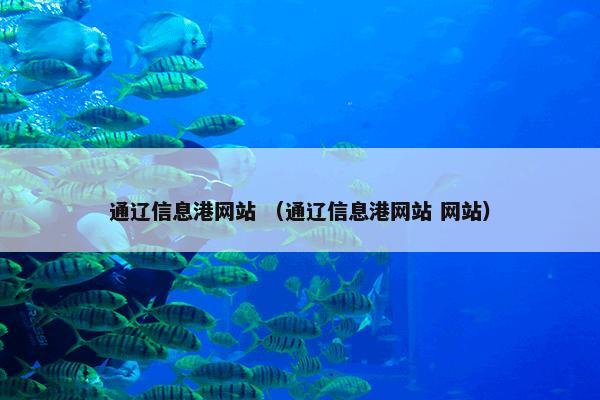 通辽信息港网站 （通辽信息港网站 网站）