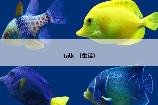 talk （生活）