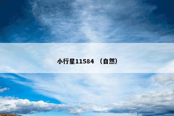 小行星11584 （自然）