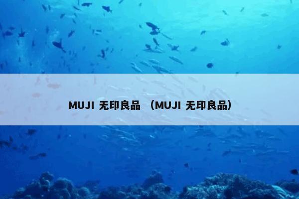 MUJI 无印良品 （MUJI 无印良品）