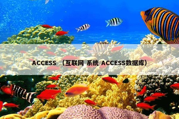 ACCESS （互联网 系统 ACCESS数据库）