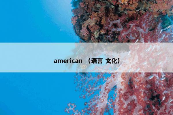 american （语言 文化）